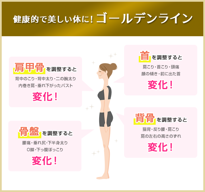 健康的で美しい体に!ゴールデンライン
